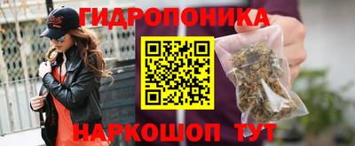 стафф Севастополь