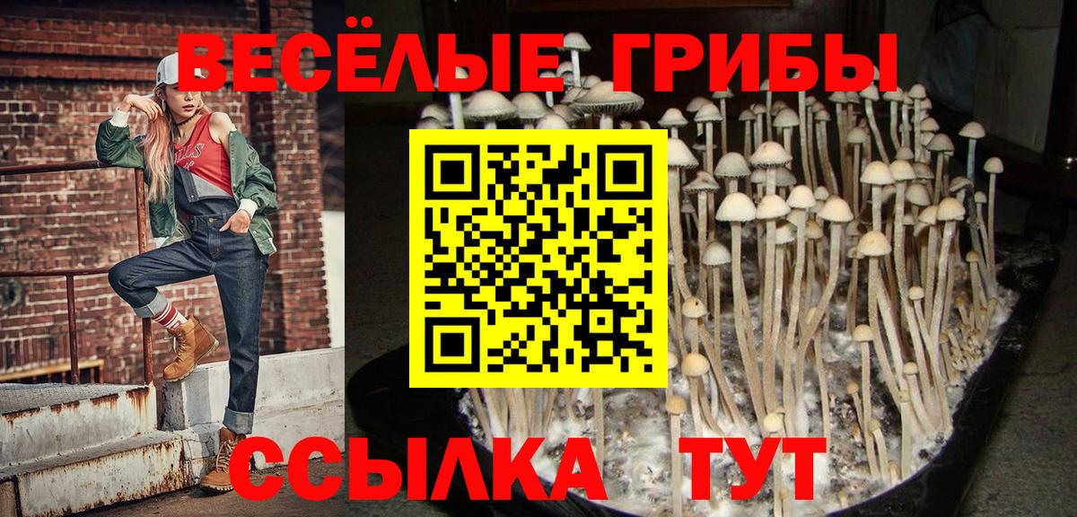 Галлюциногенные грибы Psilocybe Кунгур