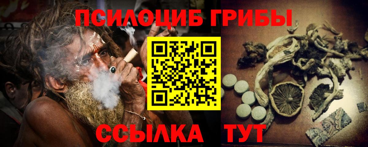 Кунгур  Псилоцибиновые грибы прущие грибы  Вход с VPN 